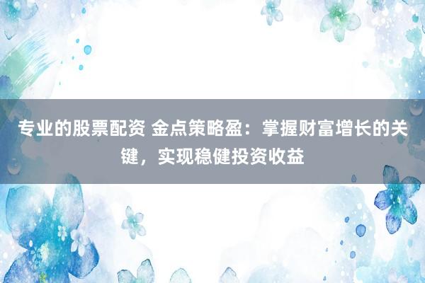 专业的股票配资 金点策略盈：掌握财富增长的关键，实现稳健投资收益