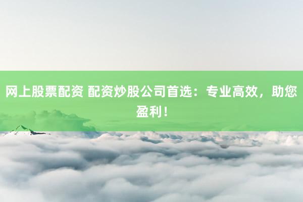 网上股票配资 配资炒股公司首选：专业高效，助您盈利！