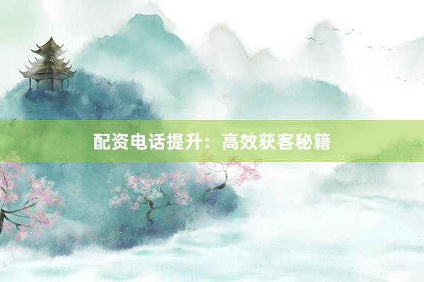配资电话提升：高效获客秘籍