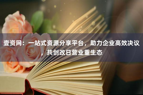 壹资网：一站式资源分享平台，助力企业高效决议，共创改日营业重生态