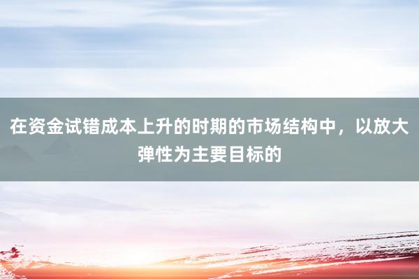 在资金试错成本上升的时期的市场结构中，以放大弹性为主要目标的