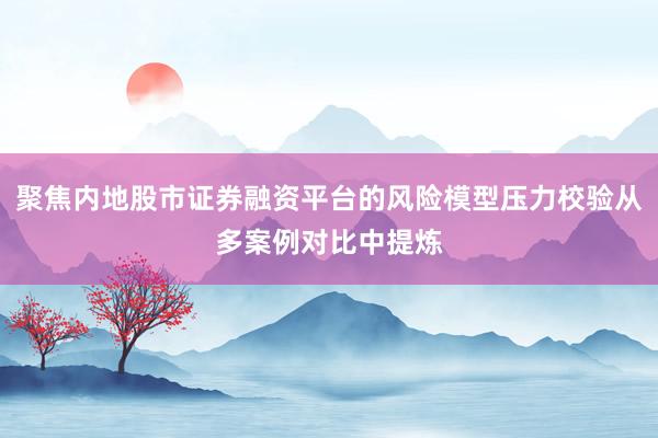 聚焦内地股市证券融资平台的风险模型压力校验从多案例对比中提炼