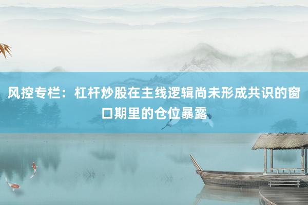 风控专栏：杠杆炒股在主线逻辑尚未形成共识的窗口期里的仓位暴露