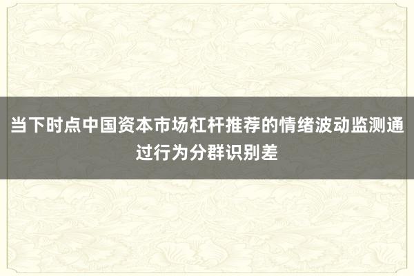 当下时点中国资本市场杠杆推荐的情绪波动监测通过行为分群识别差