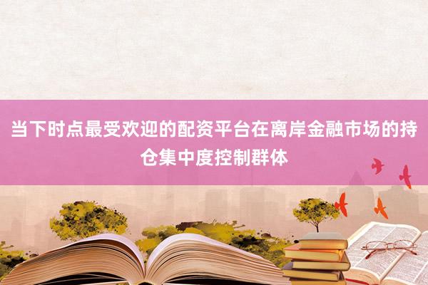 当下时点最受欢迎的配资平台在离岸金融市场的持仓集中度控制群体