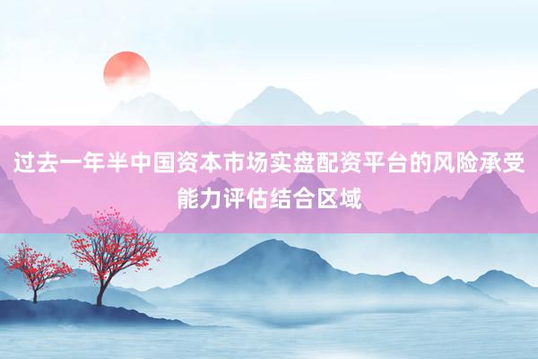 过去一年半中国资本市场实盘配资平台的风险承受能力评估结合区域