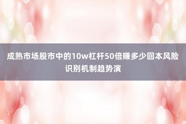成熟市场股市中的10w杠杆50倍赚多少回本风险识别机制趋势演