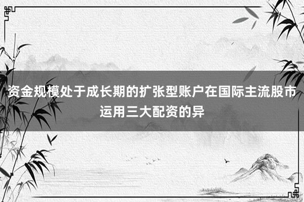 资金规模处于成长期的扩张型账户在国际主流股市运用三大配资的异