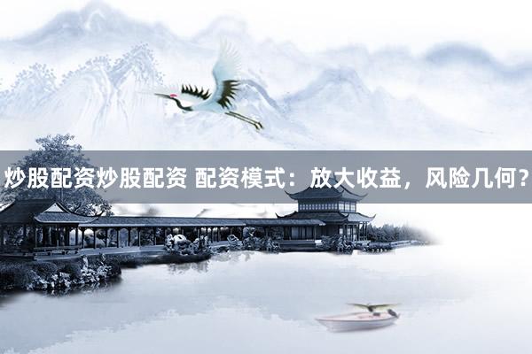 炒股配资炒股配资 配资模式：放大收益，风险几何？