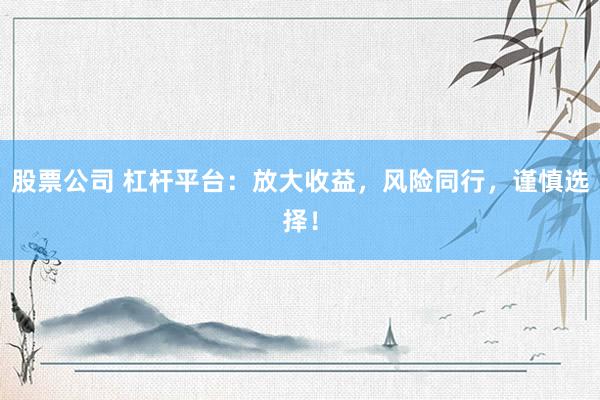 股票公司 杠杆平台：放大收益，风险同行，谨慎选择！